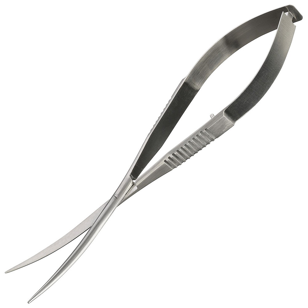 Spring Scissors
